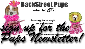 Pups Newsletter