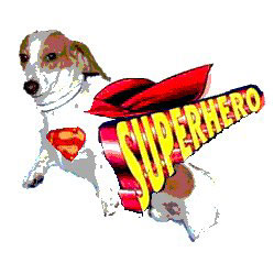 The Caped Canine
